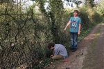 Zaun flicken Lämmerweide 1