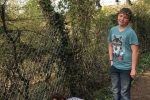 Zaun flicken Lämmerweide 2