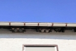 Schwalbenaktion-Balkhausen-01
