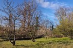Götterbaumweide-03-10x26s