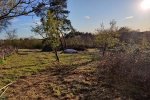 Weidenpflege-Weg-Jäckel-Weide-03-10x13s