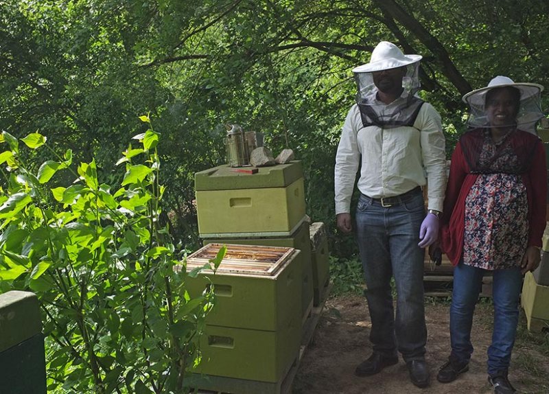 Beekeeper - Jain und Viji