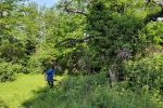 Einsatz-Dollackerweide-3-10x13s