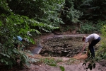 Dornbachteich 02
