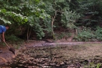 Dornbachteich 06