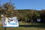 Grillfest am Kirschblütenhang 01
