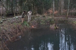 01 Kontrolle Kühlgrundteich