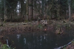 02 Kontrolle Kühlgrundteich