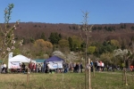 Kirschblütenfest-18a-10x18s