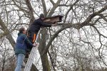 Aktion-Steinkauzwiese-Alte-Streobstwiese-neben-Gleis-11a-10x13s