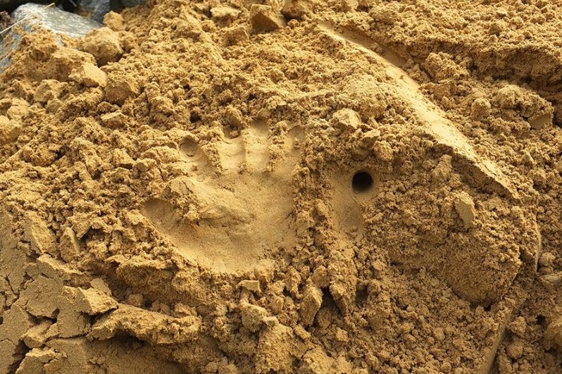 Reptilien-Kinderstube: neuer Sandhaufen auf dem NABU-Grundstueck 3
