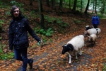 Durch den Wald 07