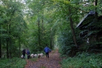 Durch den Wald 11