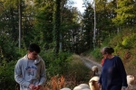 Schafe Wald Langer Berg 12