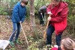 Einsatz im Wühlmausgarten 11