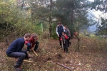 Einsatz im Wühlmausgarten 5