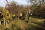 Einsatz im Wühlmausgarten 8