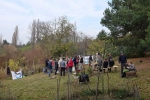 Wühlmausgarten - Essensausgabe 22 10x14s