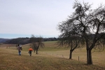 Euleneinsatz Fränkisch-Crumbach 01