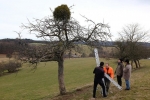 Euleneinsatz Fränkisch-Crumbach 10