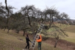 Euleneinsatz Fränkisch-Crumbach 34
