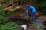 Gelbauchunkentümpel am Dornbachteich 1
