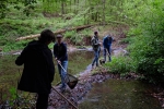 Gelbauchunkentümpel am Dornbachteich 4