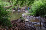 Gelbauchunkentümpel am Dornbachteich 6