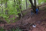 Schaukel am Wühlmausweiher 1
