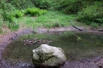 Wühlmausweiher 3