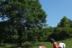 Einsatz Bienenweide 09