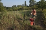 Einsatz Bienenweide 02