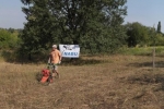 Einsatz Bienenweide 05