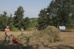 Einsatz Bienenweide 06