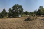 Einsatz Mahd Bienenweide 10