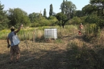 Einsatz Mahd Bienenweide 04
