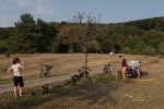 Kirschgarten 08
