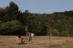 Kirschgarten 12