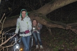 04 Waldweg am Erlensee
