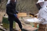 Frühjahrsputz am Bienenstand 2