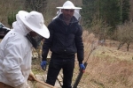 Frühjahrsputz am Bienenstand 3