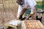 Frühjahrsputz am Bienenstand 4