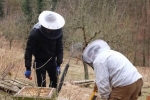 Frühjahrsputz am Bienenstand 5