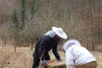 Frühjahrsputz am Bienenstand 6