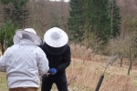 Frühjahrsputz am Bienenstand 7