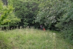 Bienenragwurz-Wiese 1