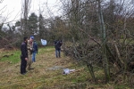 Weg-Jäckel-Weide 06
