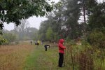 Schafgruppe-Bienenweide-05-10x14s