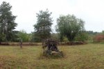 Weidenpflege-Bienenweide-03-10x28s
