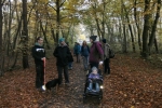 Waldweg 2